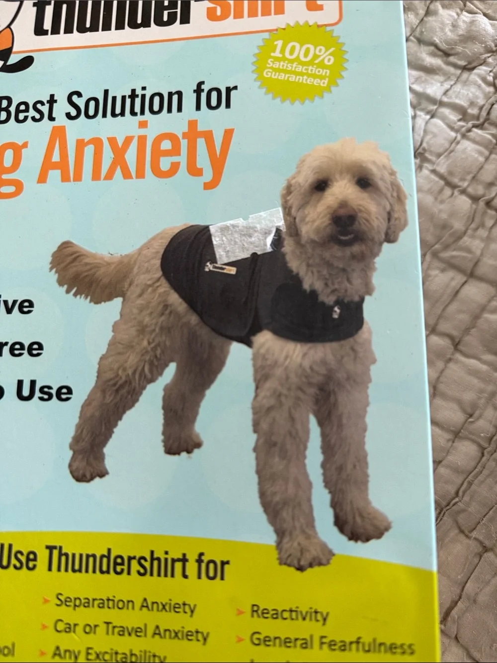 Thundershirt best solution